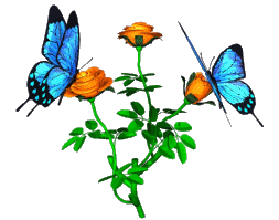 butterflies animated photo: Butterflies butterflies_animated.gif