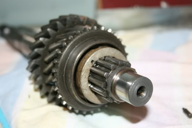 Posted Image