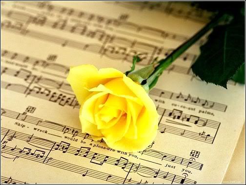 Yellow Rose & Music