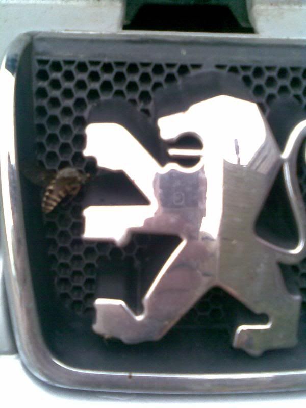 Posted Image
