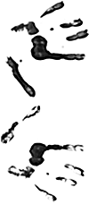 Usergrafik 2hfmeyfjpg.png?t=1258209534