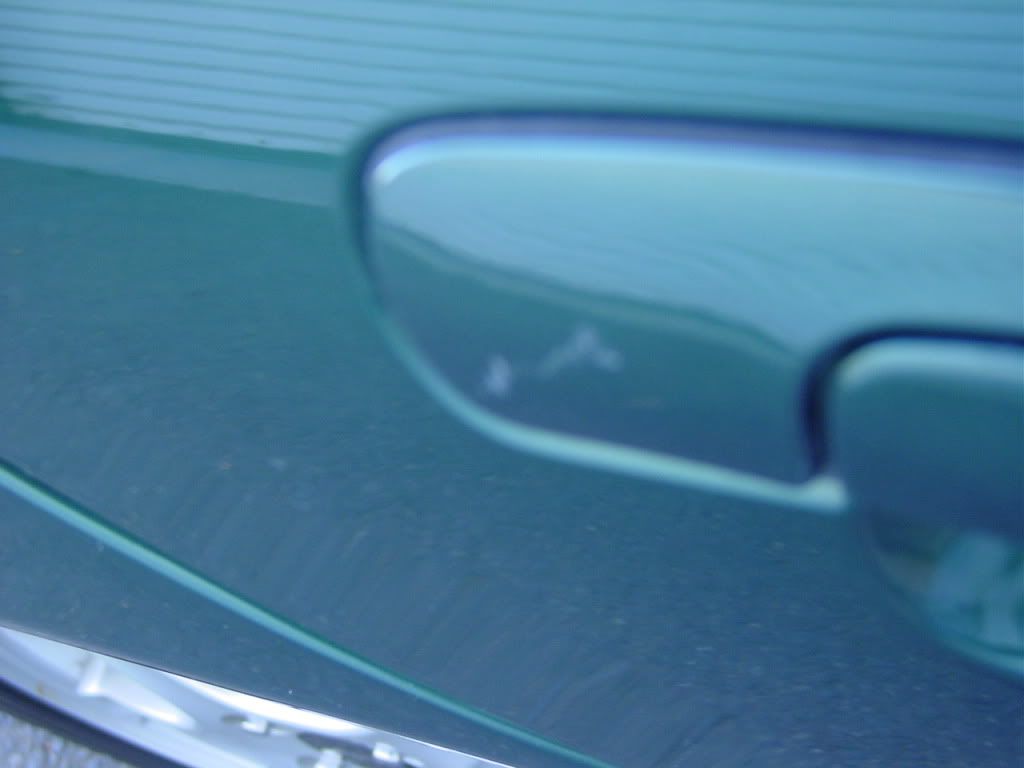 DSC03628-1.jpg