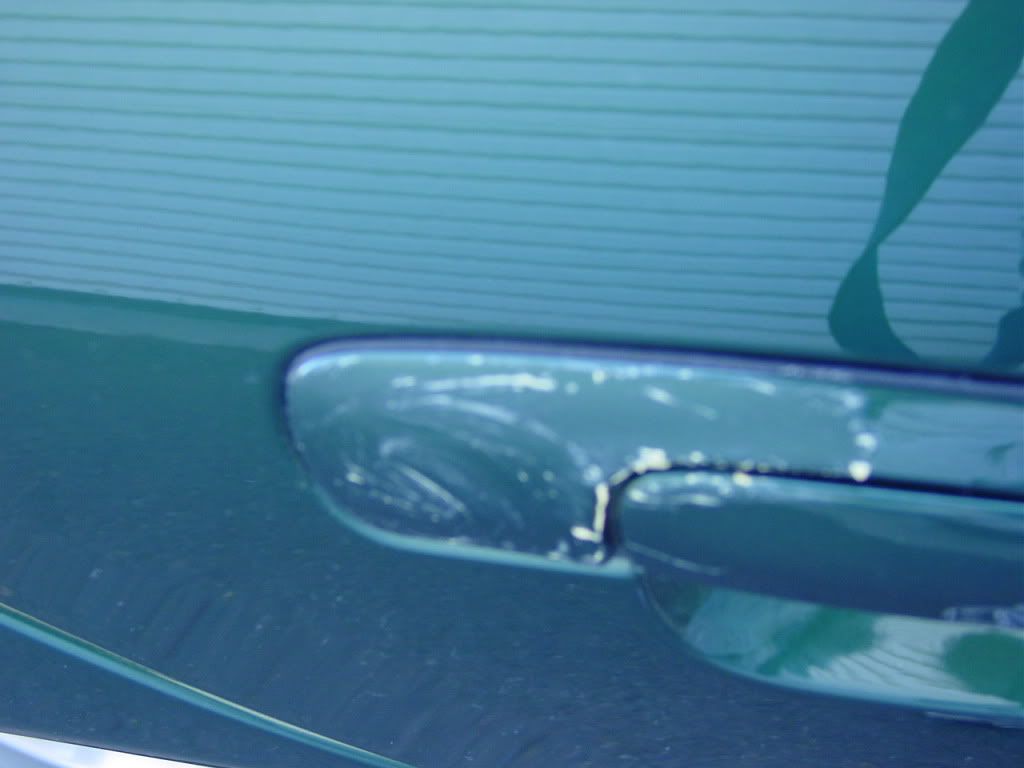 DSC03629-1.jpg