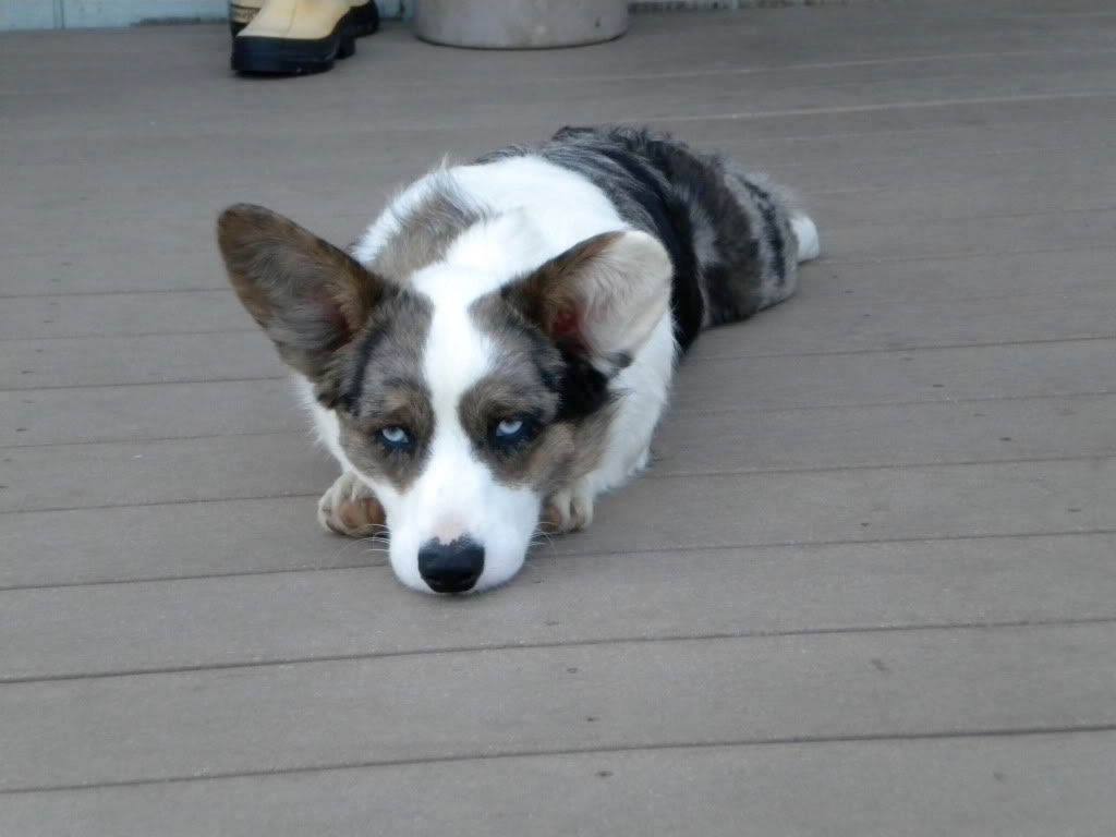 DSCN0255.jpg