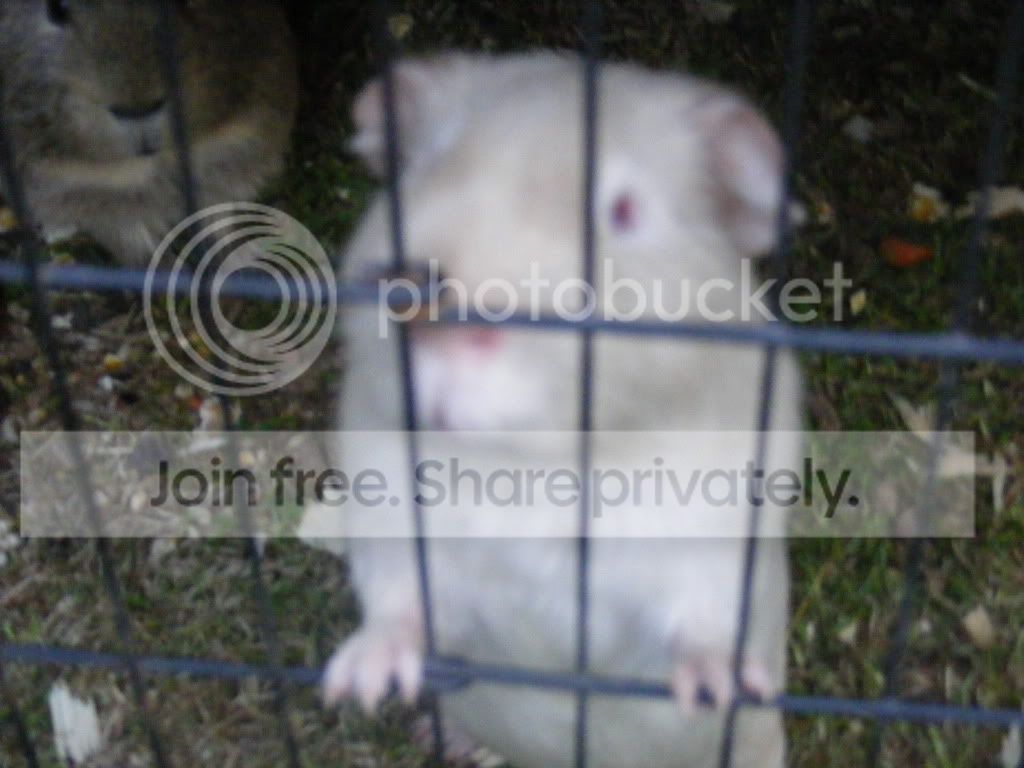 DSCF1065.jpg