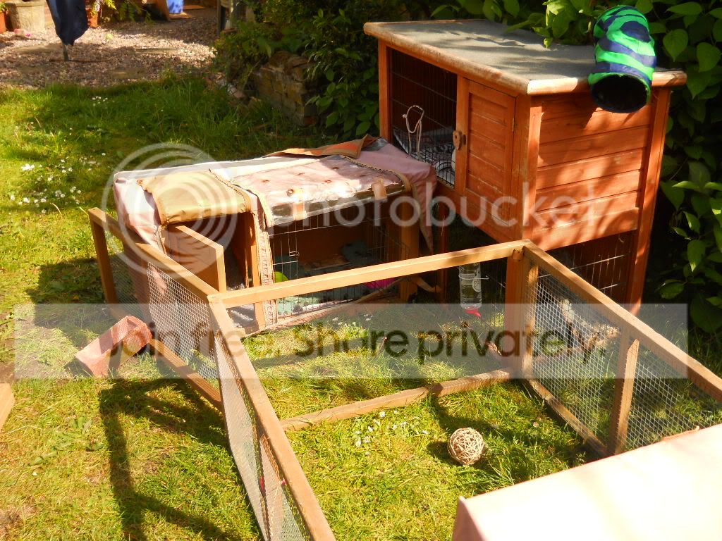 DSCN1446.jpg
