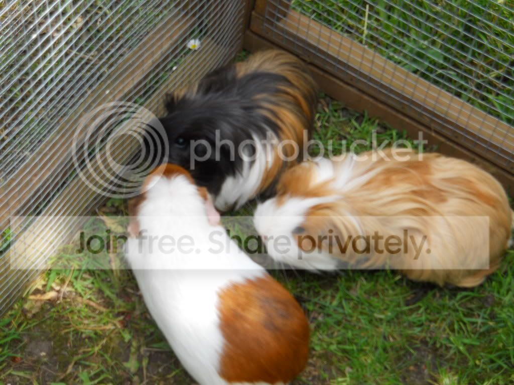 DSCN1568.jpg