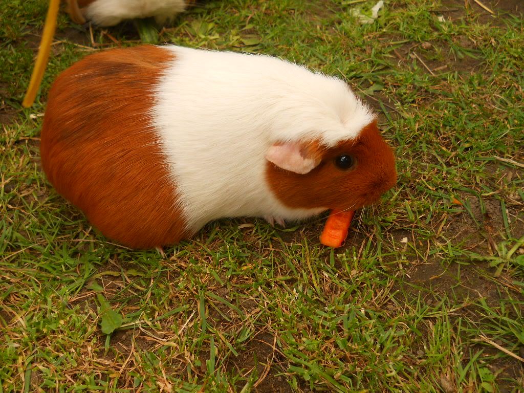 DSCN1947.jpg