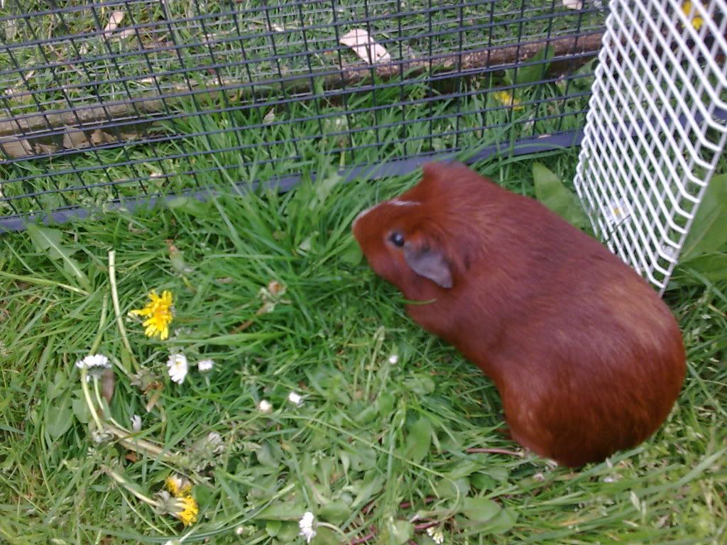 Image002.jpg