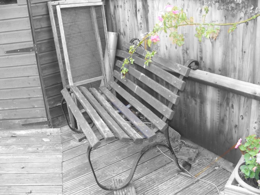 bench-1.jpg