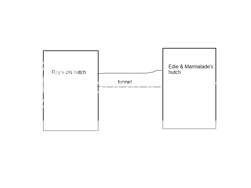 diagramofhutches.png