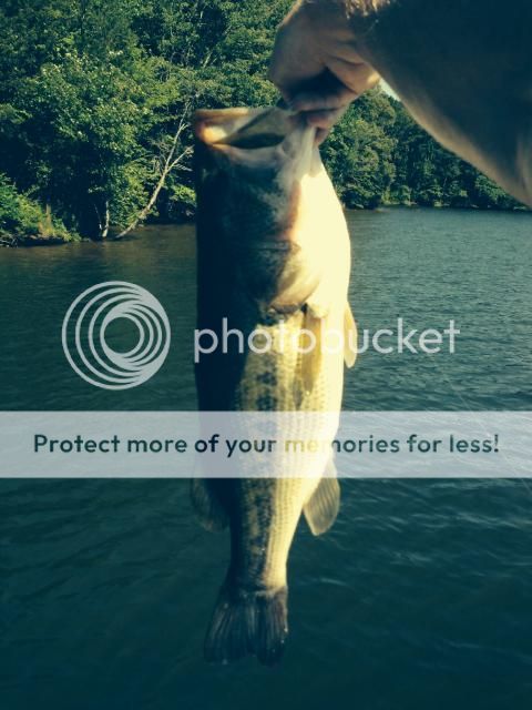 Latest Catch Pics Thread - Fishing Reports - Bass Fishing Forums