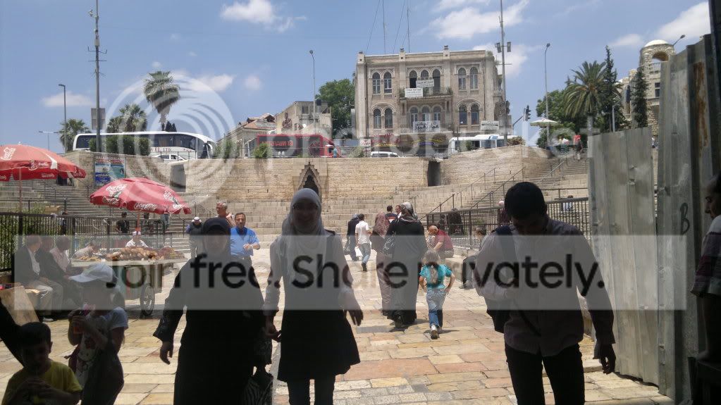 01032011664.jpg