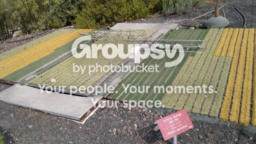 16082011815.jpg