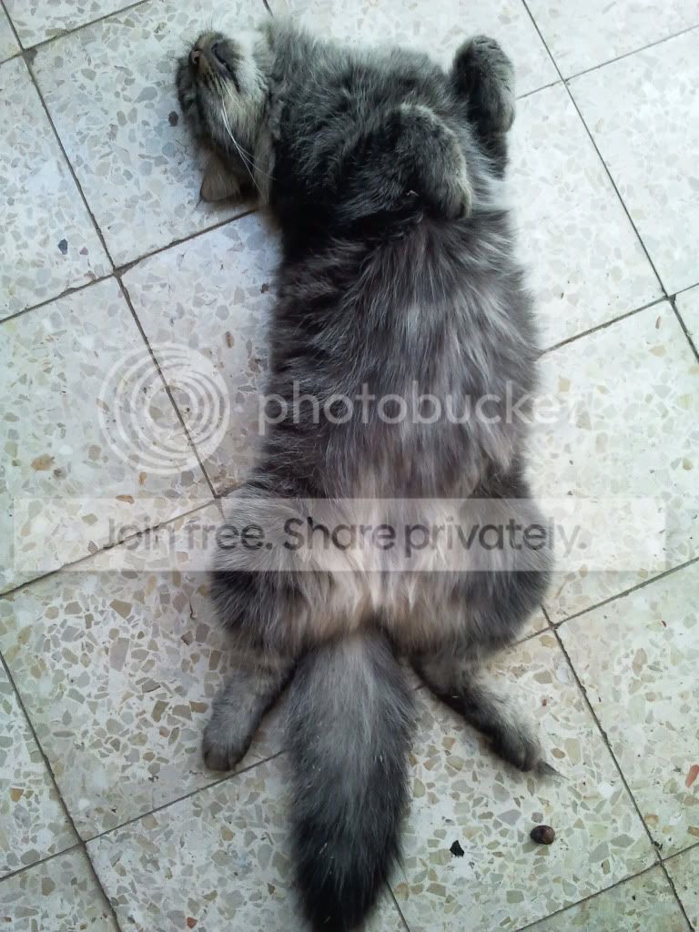 2011-10-08145152.jpg