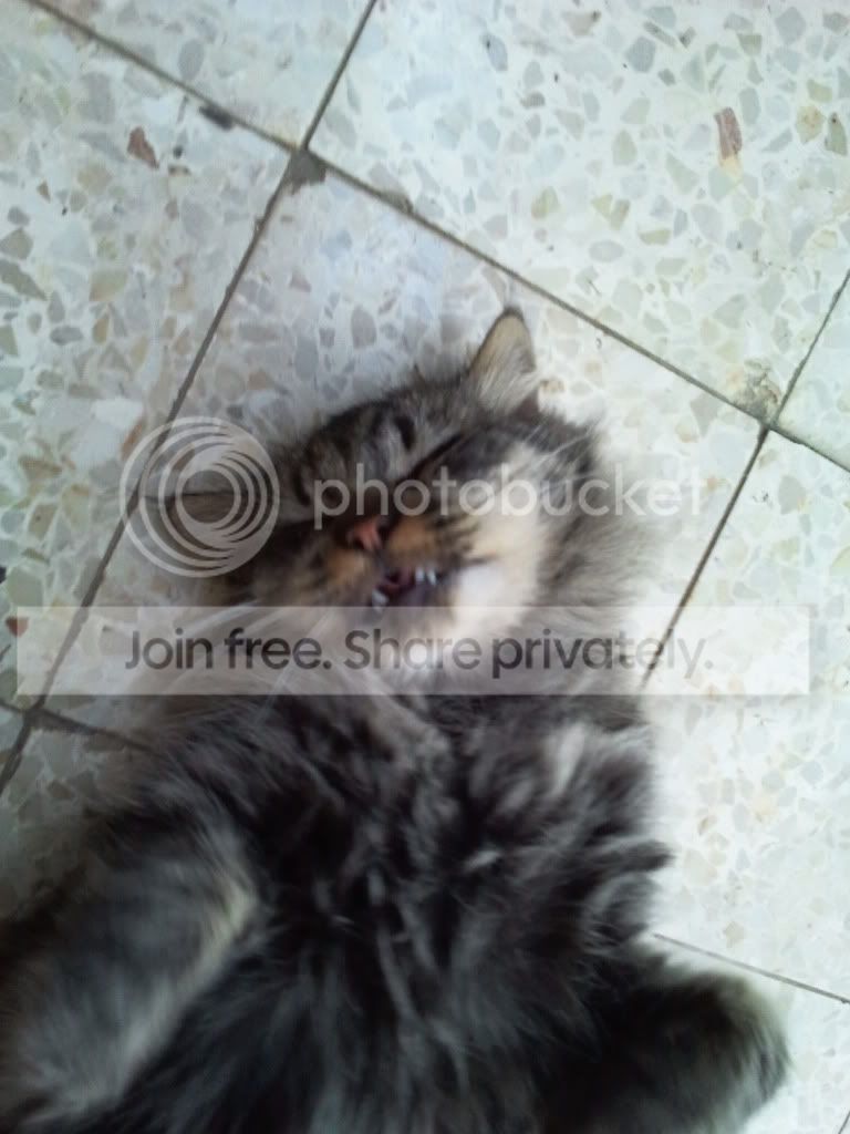 2011-10-08145232.jpg