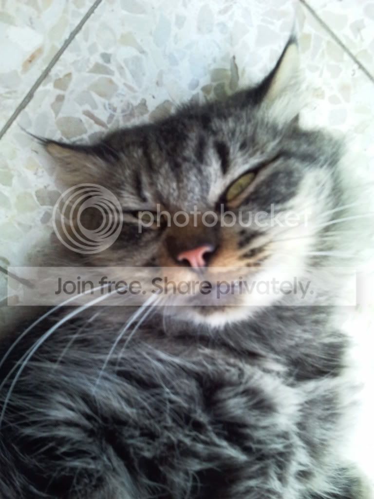 2011-10-08145239.jpg
