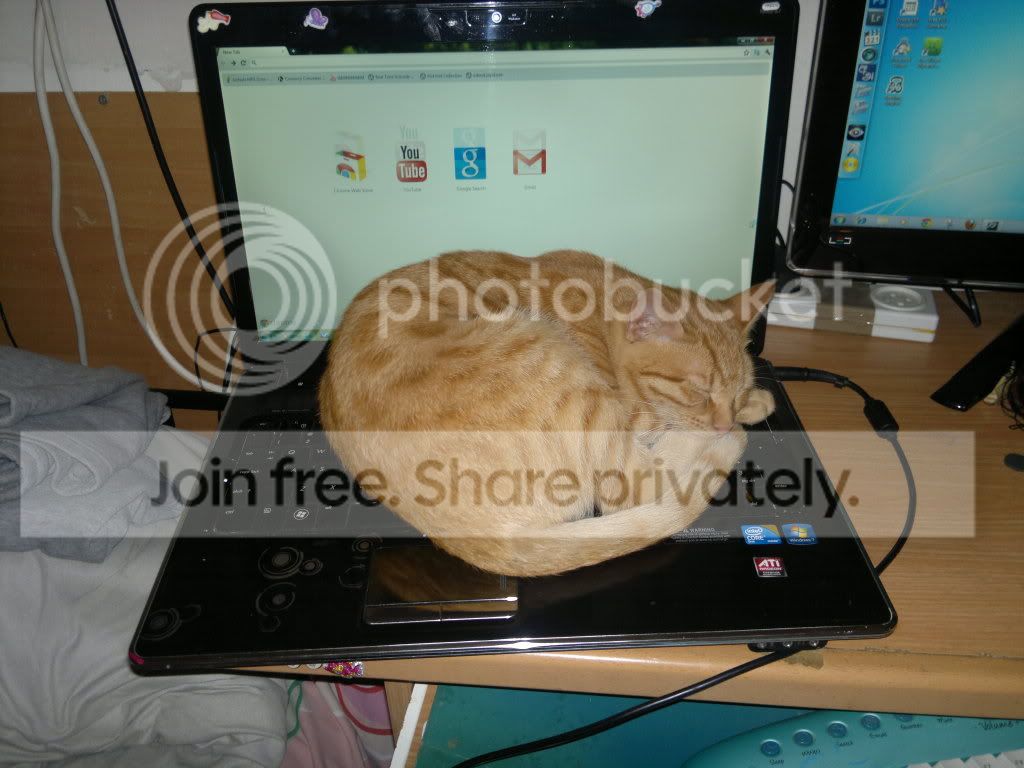 241220111395-Copy.jpg