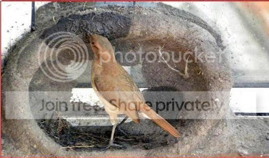 Capture11.png
