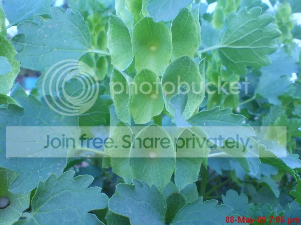 DSC00420.jpg