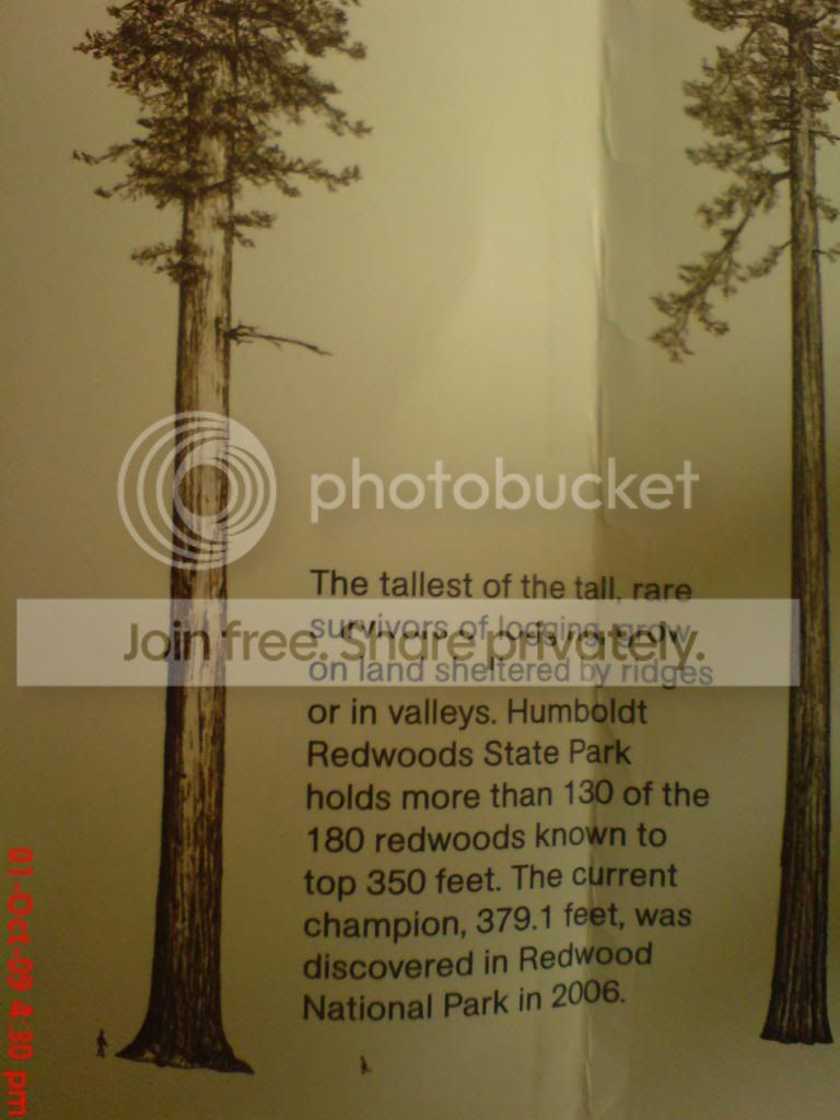 DSC00929.jpg