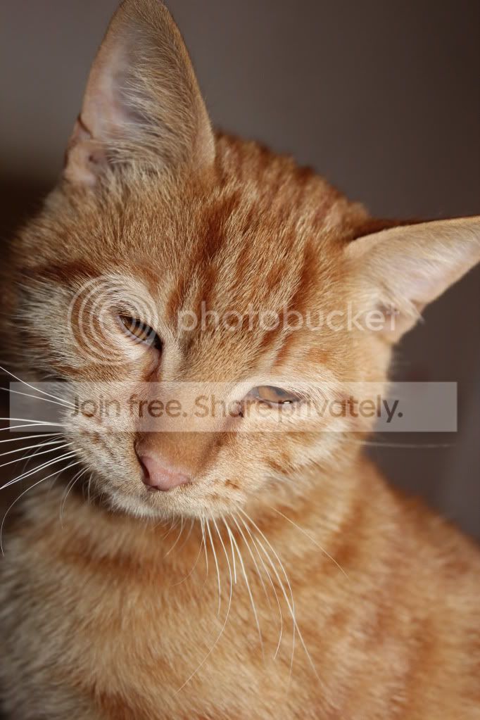 IMG_2047-Copy.jpg