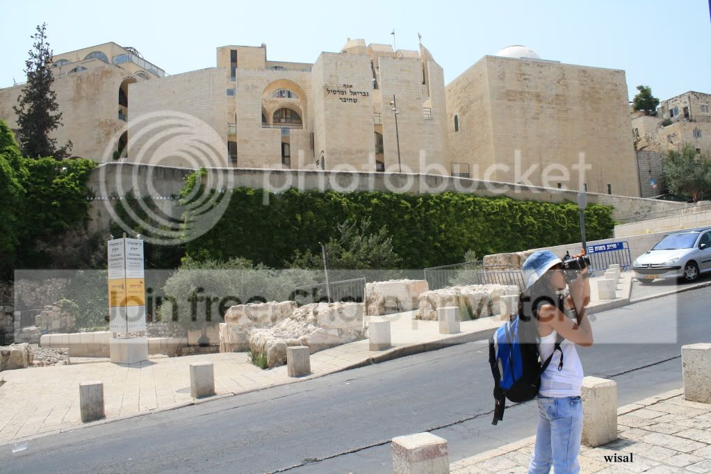 IMG_4785.jpg