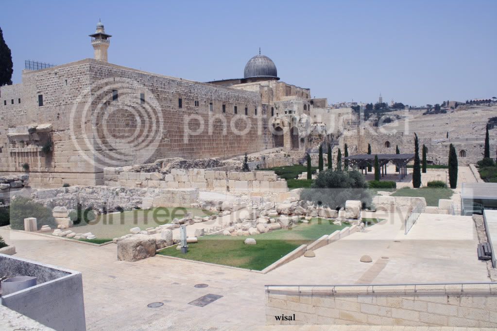 IMG_4786.jpg