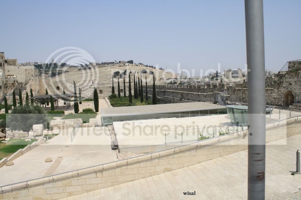 IMG_4787.jpg