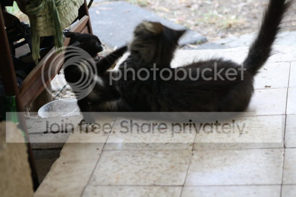 IMG_5039.jpg