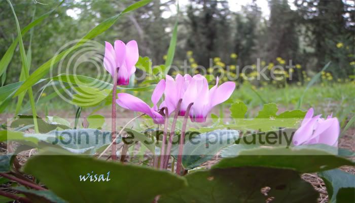 Untitled-1copy.jpg