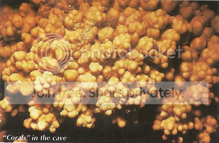 scan0008.jpg