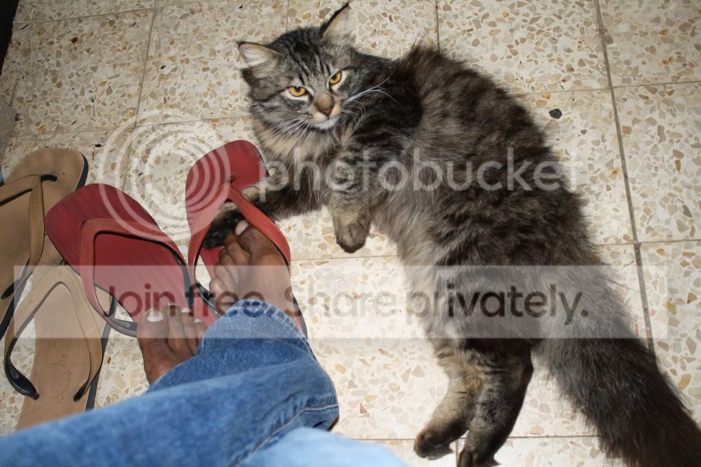 untitled-4588.jpg