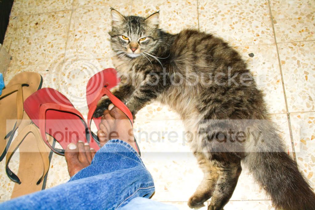 untitled-4589.jpg