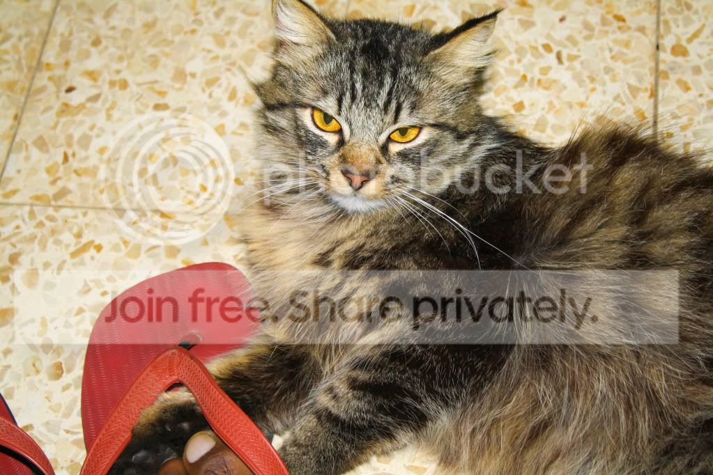untitled-4590.jpg