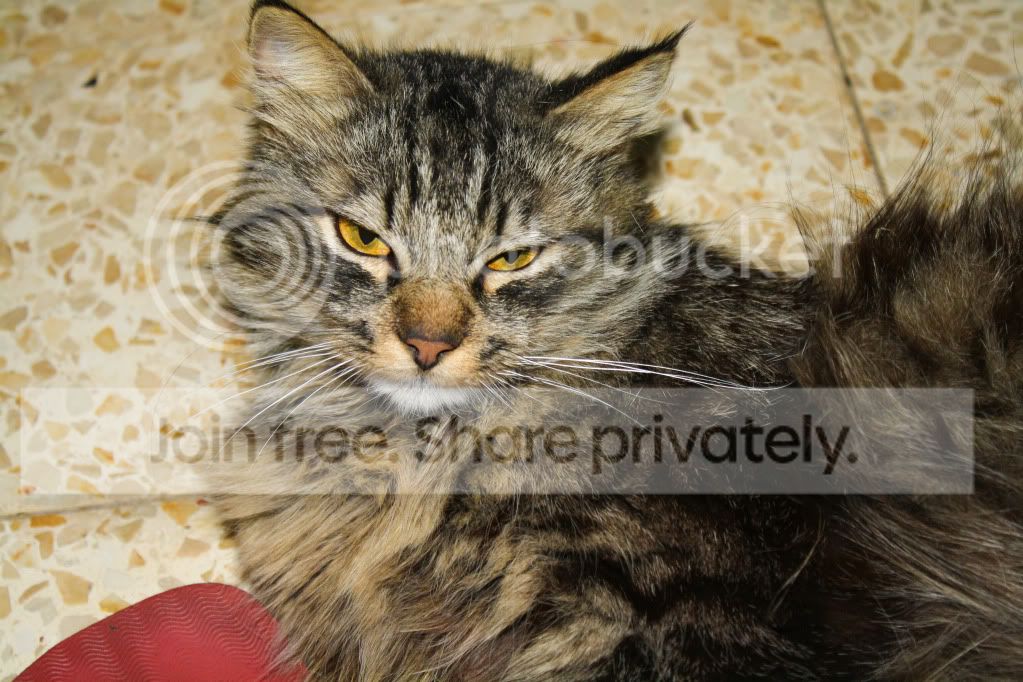 untitled-4592.jpg
