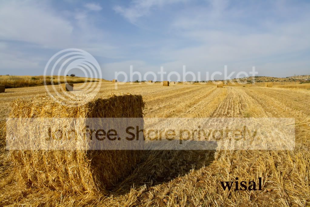 untitled-4599.jpg