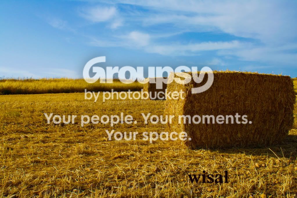 untitled-4606.jpg