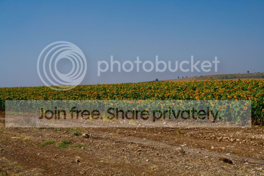 untitled-4614.jpg