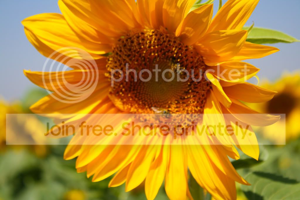 untitled-4616.jpg