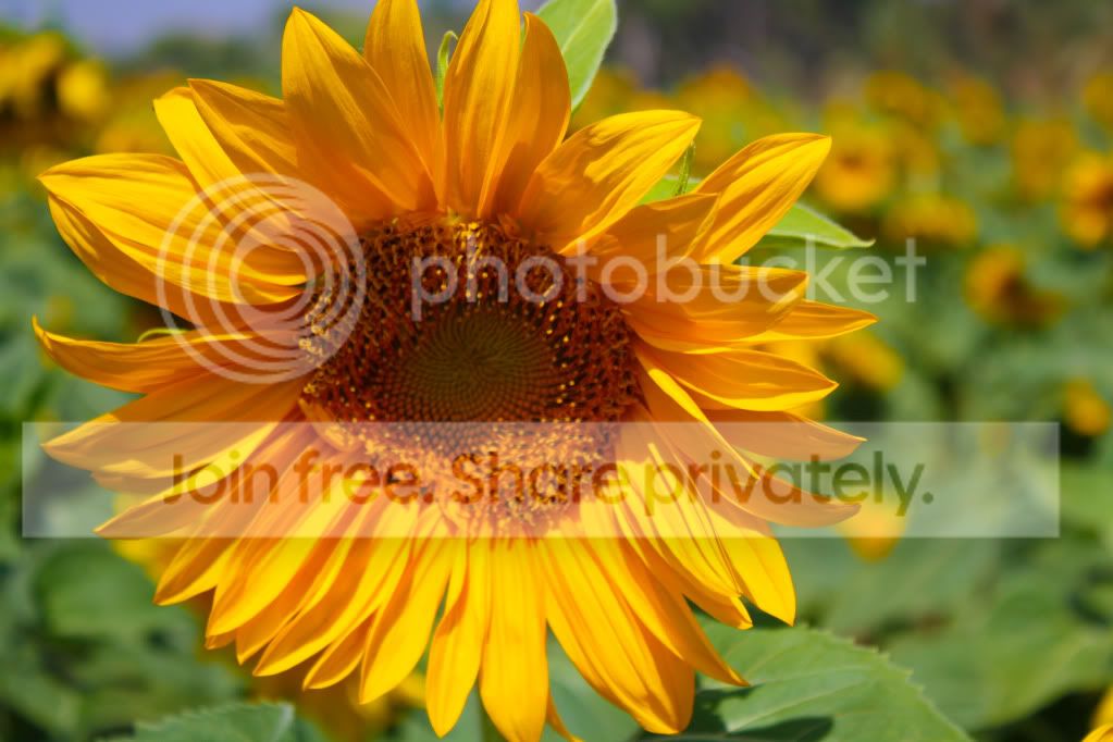 untitled-4617.jpg