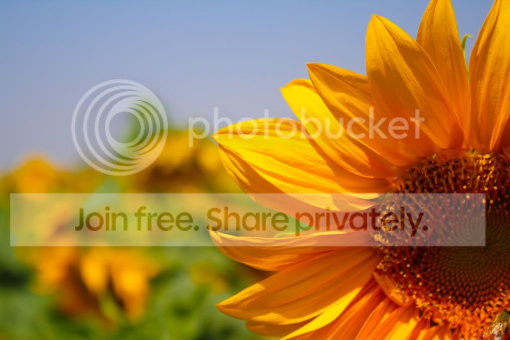 untitled-4618.jpg