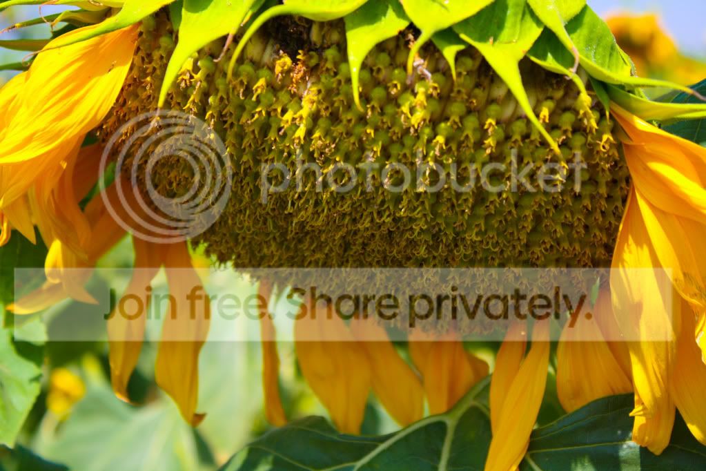 untitled-4619.jpg
