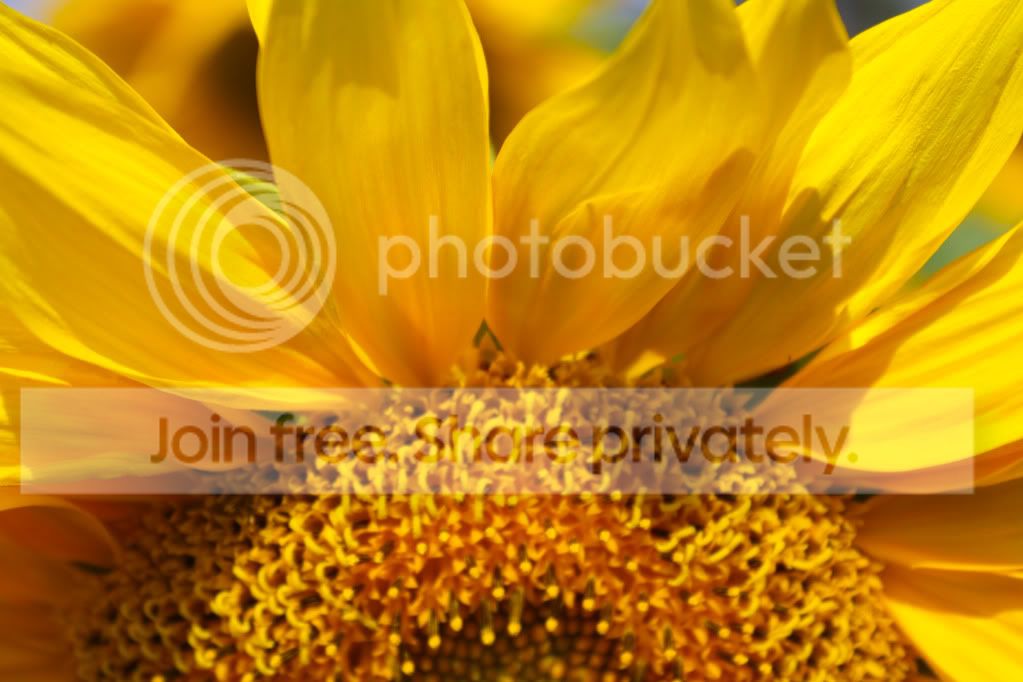 untitled-4623.jpg
