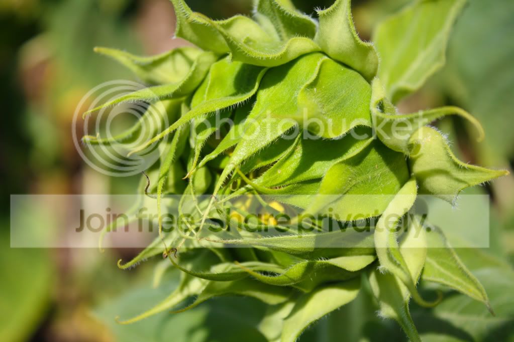 untitled-4624.jpg