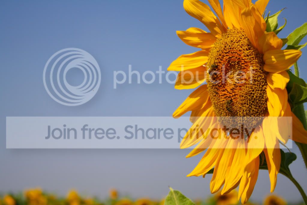 untitled-4625.jpg