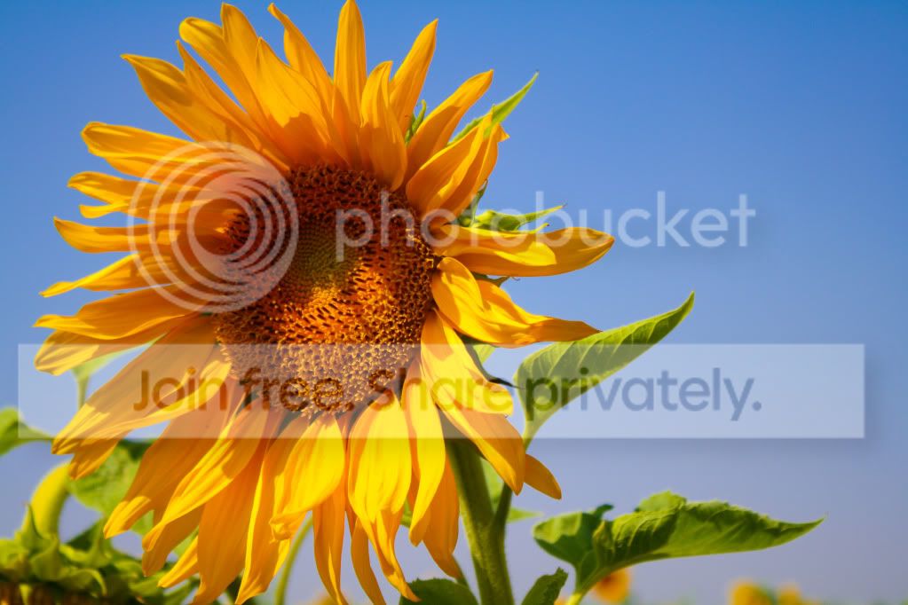 untitled-4626.jpg