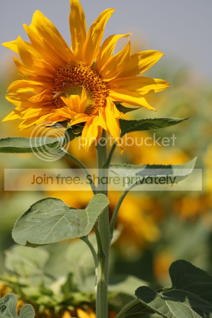 untitled-4627.jpg