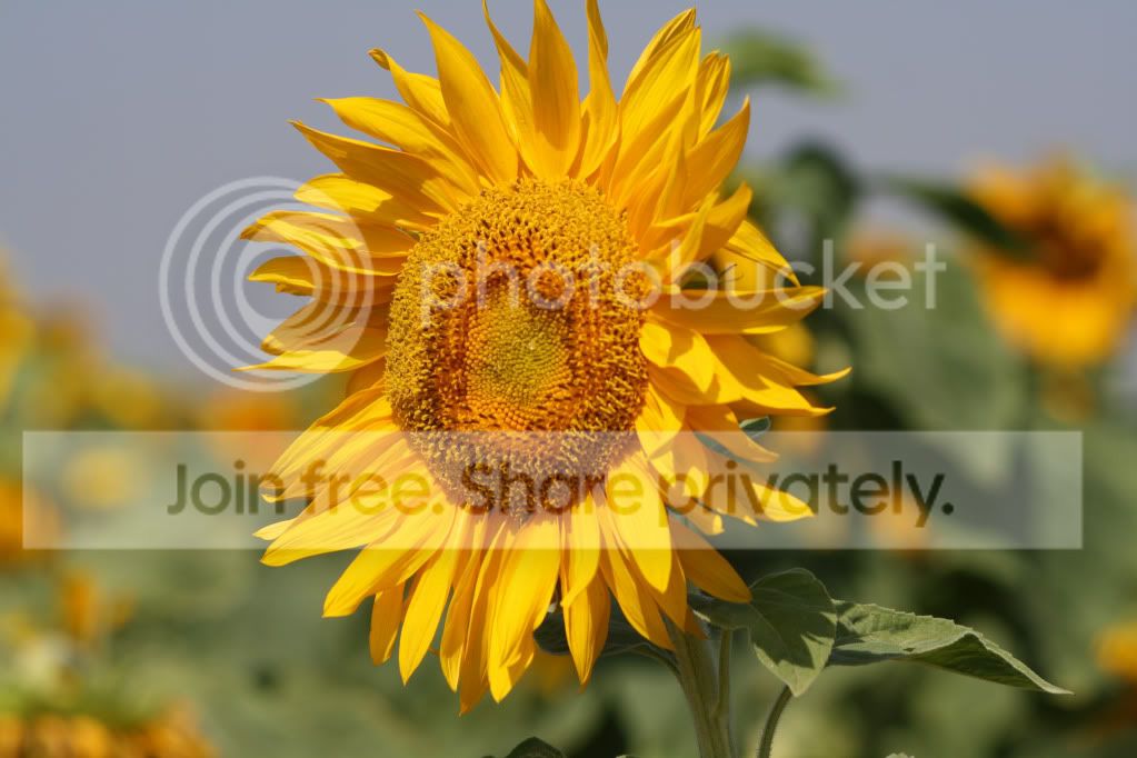 untitled-4628.jpg