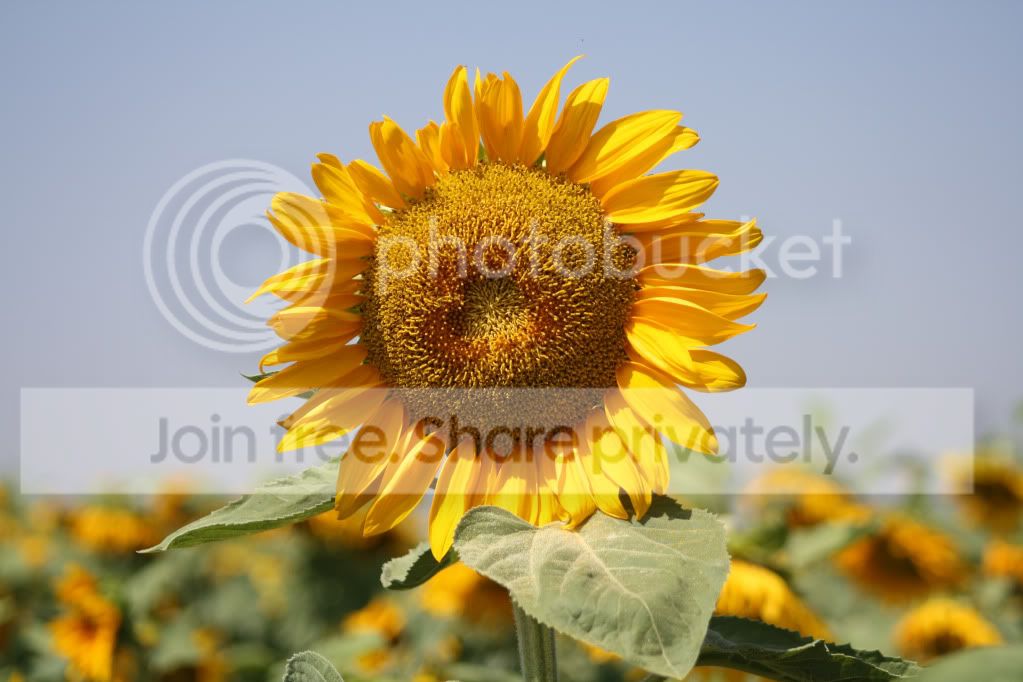 untitled-4630.jpg